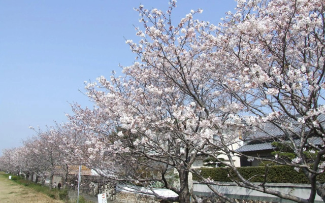 Hotel Jyoseikan