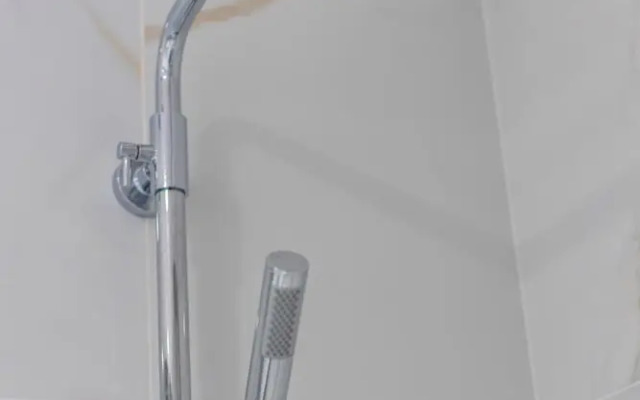 The Superior Green at BoaVista Flats