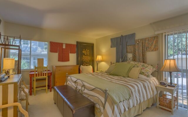 Spotted Sandpiper 12