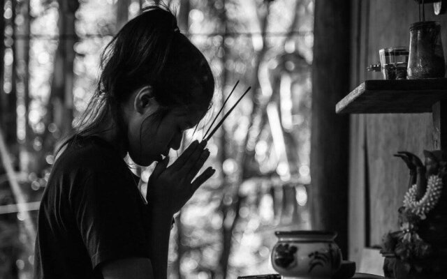 Monkey Mansion Jungalows and Tours