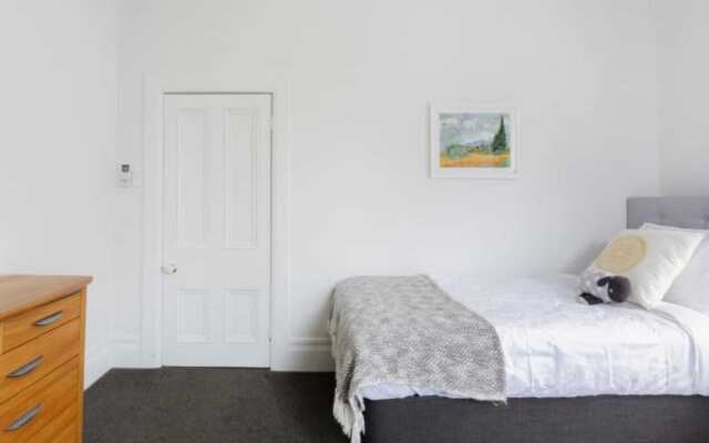 Light-filled Renovated Villa, Walk to Ponsonby Road