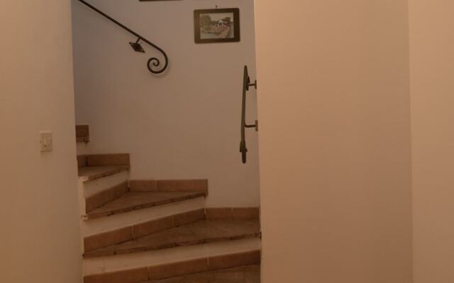 Bed & Breakfast Nature