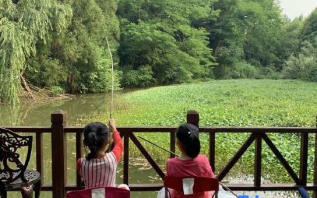 Dongping National Forest Park RV Camp