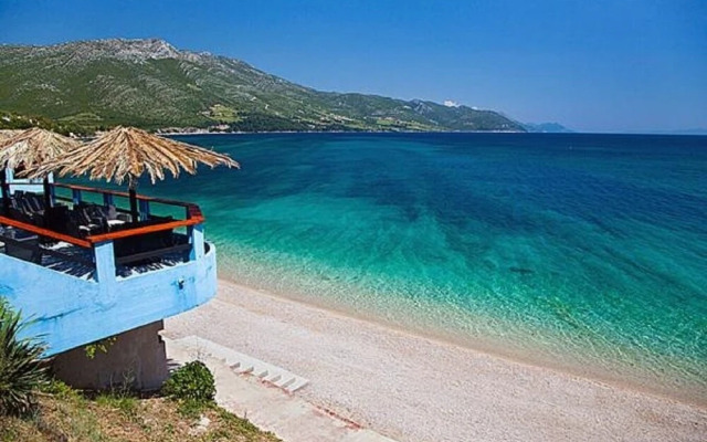 Vida With Garden - A2 - Limun