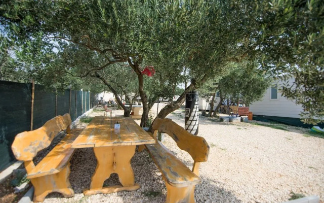 Mobile Home Septarian 2