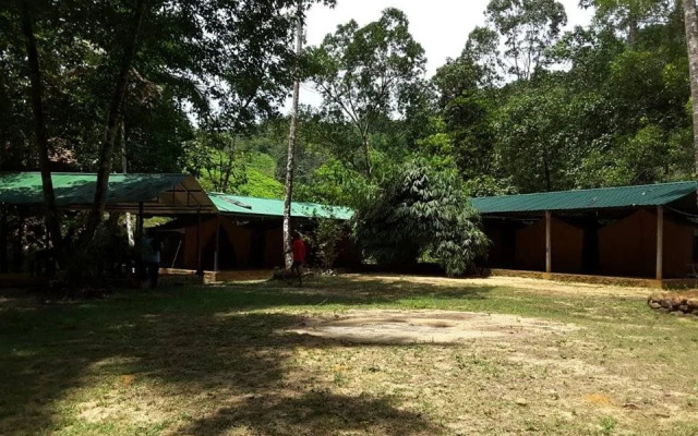 Sinharaja Adventure Resort