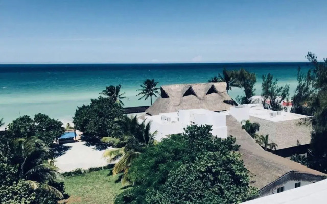 AMA Yucatan