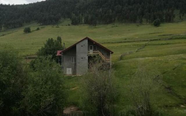 Lia's Guest house Tsvirmi