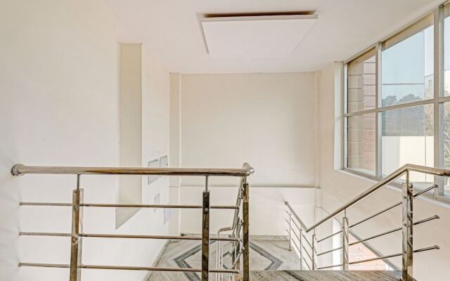 Treebo Silver Stallion