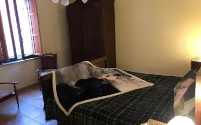 B&B La Zampa