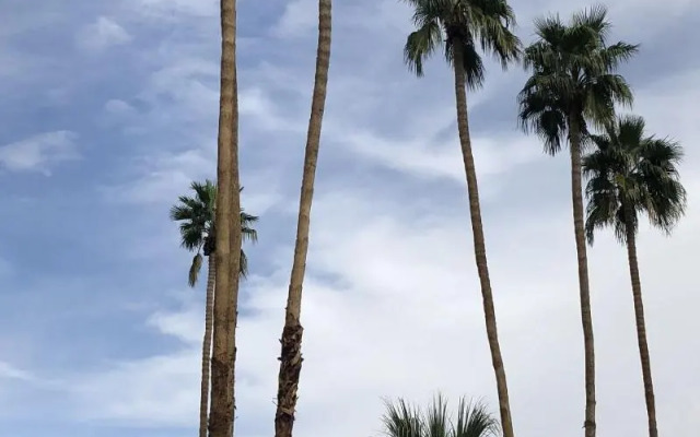 Desert Lodge
