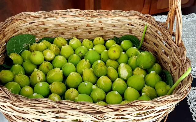 Myrtus Agropoli