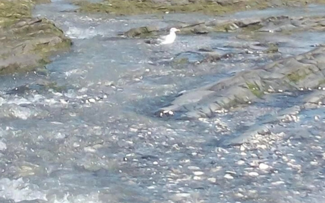 Guesthouse A Lareira