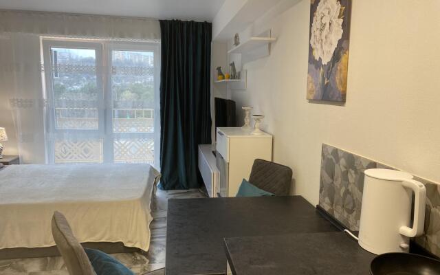 Апартаменты на улице Пластунская 100Б