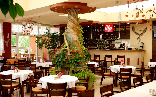 Hotel Baronka