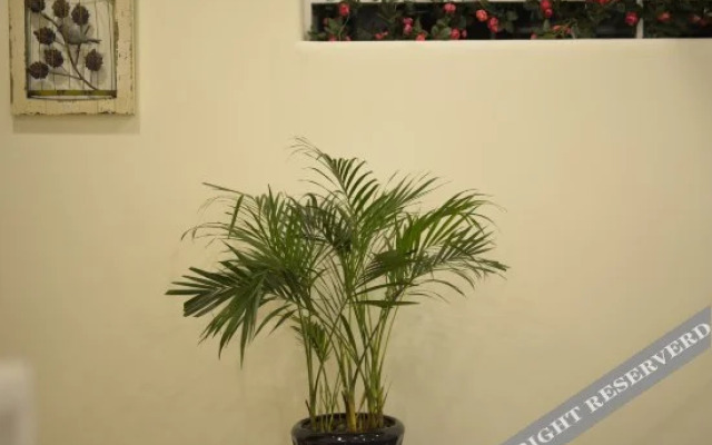 Rose Blooming Hotel(蔷薇花开酒店(青岛国际会展中心店))