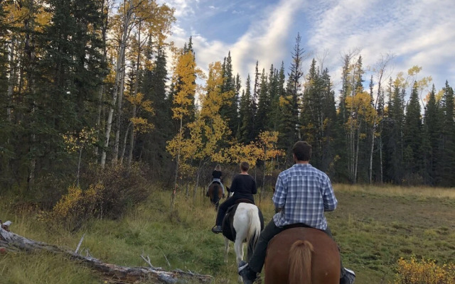 Red Cariboo Apartments