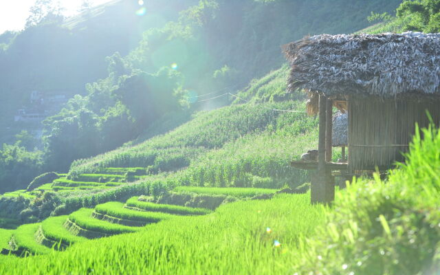 Eco Palms House - Sapa Retreat