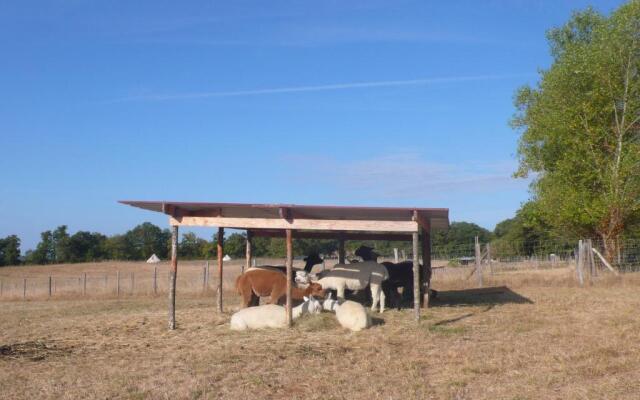 Alpagas du Quercy