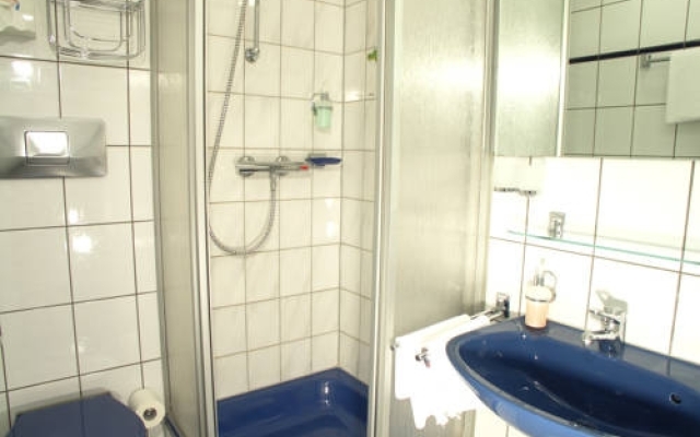 Ambient Hotel Zum Schwan