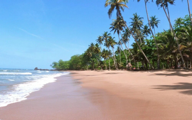 Ankobra Beach Resort