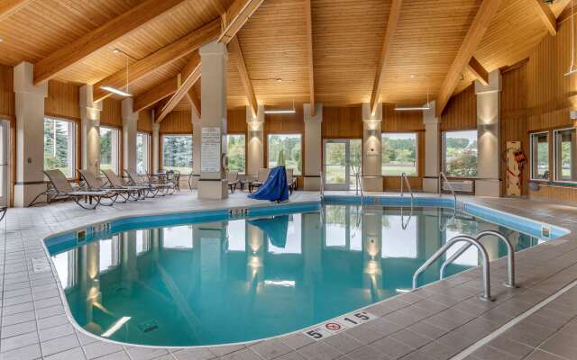 Comfort Inn & Suites Diamondale – Lansing
