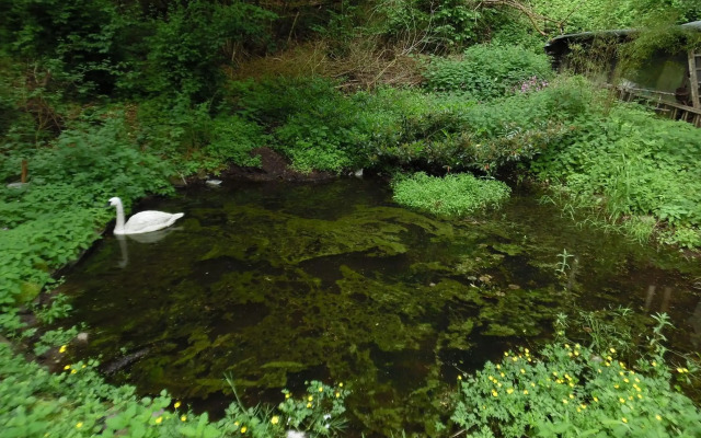 Wellness-Romantik- Landhaus Helmboldt