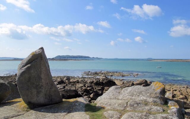 Les Hortensias (KSD101)