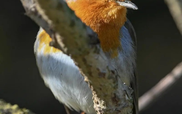 Your Nature Eco Resort