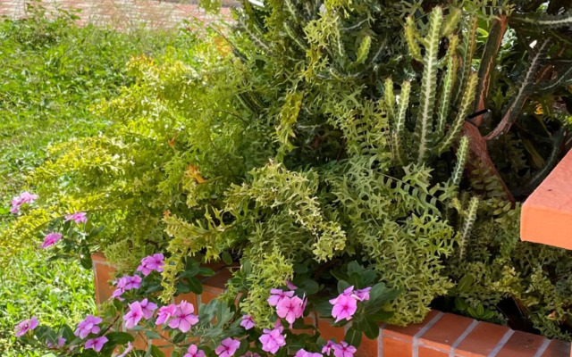 Villa Norah t5 duplex