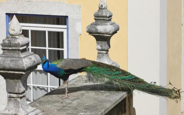 Solar Do Castelo, a Lisbon Heritage Collection