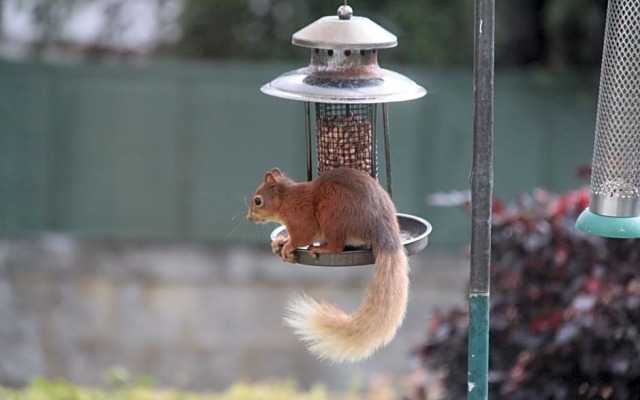 Granford Guest House