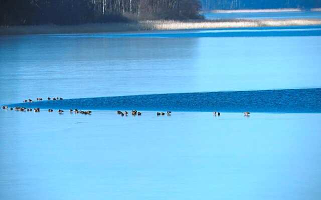 Zakątek Borsk, Jasnochówka 2, domek 37