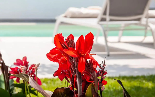 Epavli Boutique Hotel