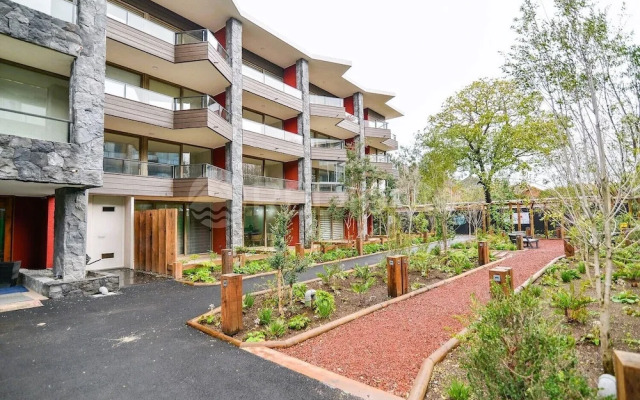 Nuevo y hermoso depto central en Pucón