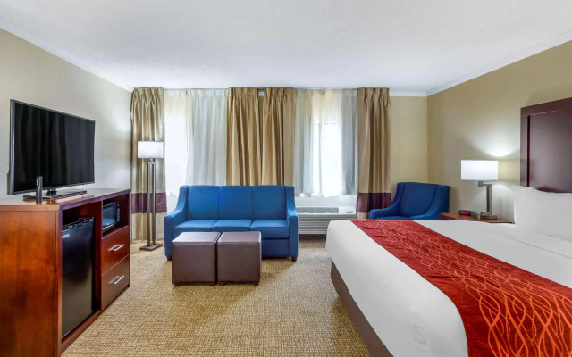 Comfort Inn Hoffman Estates - Schaumburg