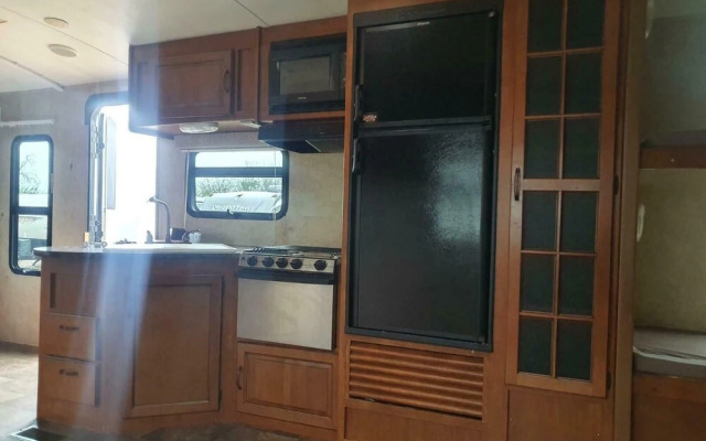 Glamping With Llamas