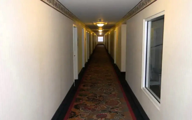 Guesthouse Inn Suites D