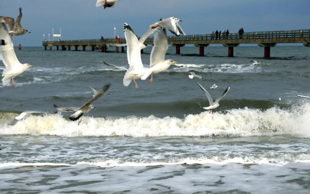 Kavelweg 13 Whg 4 - Kleiner Käptn