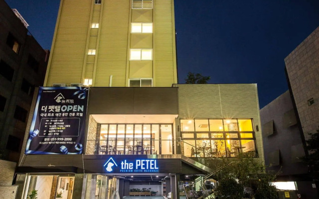 Sleep with Your Own Pet Only - The Petel