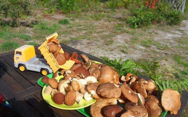 Cap'Cabane