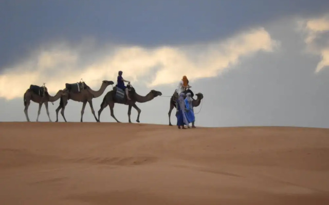 Sahara Camel Trips