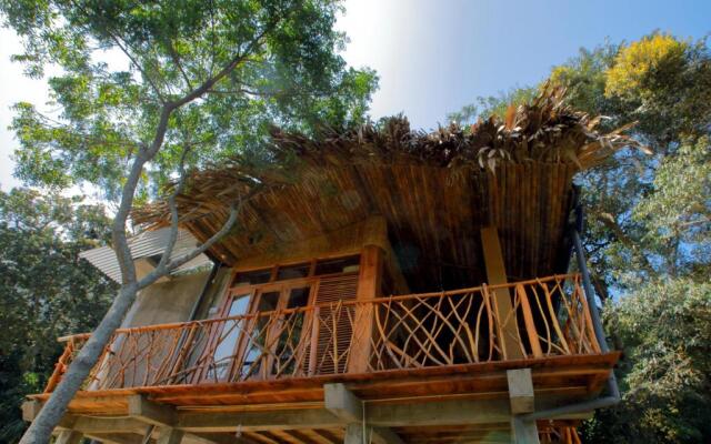 The Winsome & Tree House