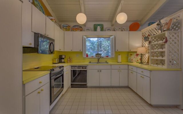 Spotted Sandpiper 12 by RedAwning