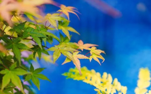 Taibei Holiday Villa