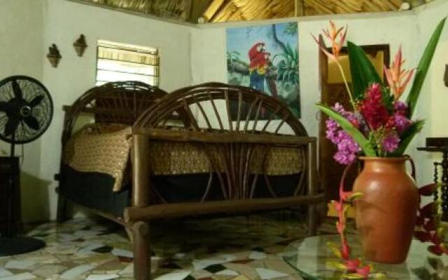 Macaw Bank Jungle Lodge