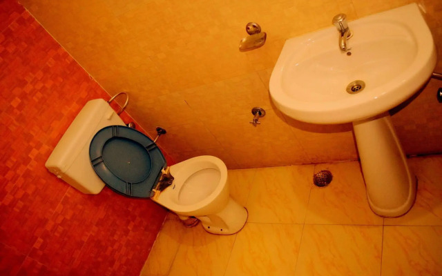 OYO 13365 Hotel Teg Royal