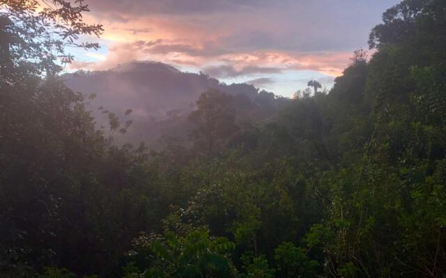 Natural Mystic Sanctuary