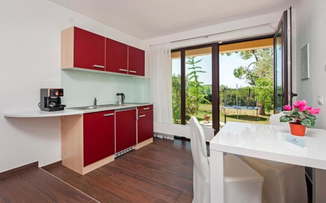 Beautiful Apartment in Rovinj With Wifi and 1 Bedrooms