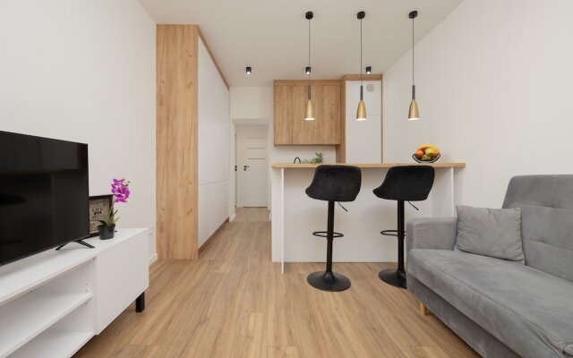 Apartment Majzela Łódź by Renters